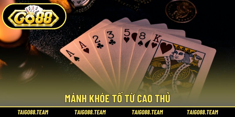 Mánh khóe tố từ cao thủ
