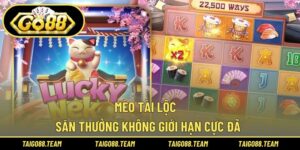 mèo tài lộc