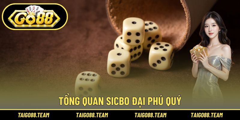 Sicbo Đại Phú Quý GO88 - Chiến Thuật Đánh Nhanh Thắng Nhanh 1 Tổng quan Sicbo Đại Phú Quý